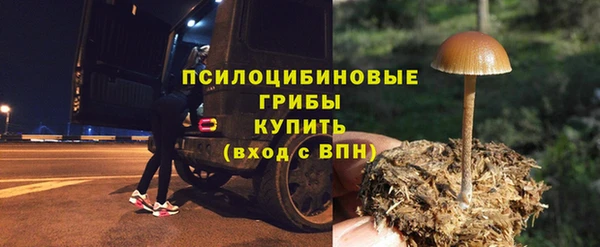 трава Михайловск
