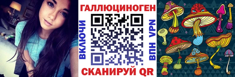 Купить где  Кировск  Галлюциногенные грибы Magic Shrooms 